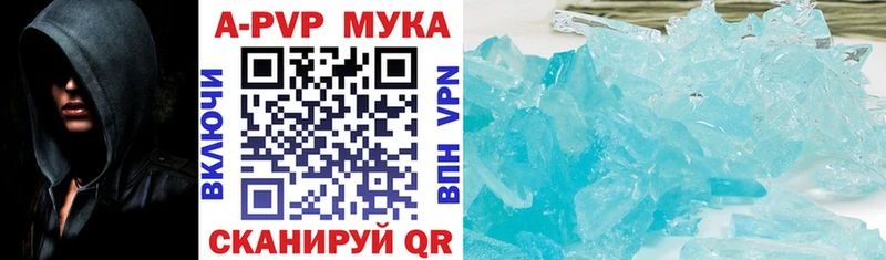 Купить где  Кашин  А ПВП крисы CK 