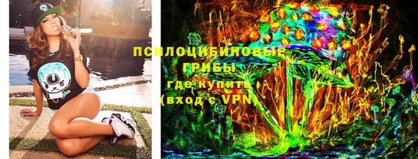 соль ск Дмитров