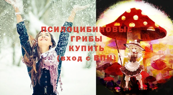 бутират Дмитровск