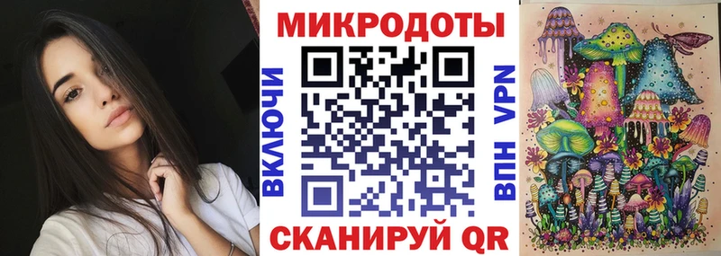 Купить где  Кашин  Псилоцибиновые грибы Magic Shrooms 